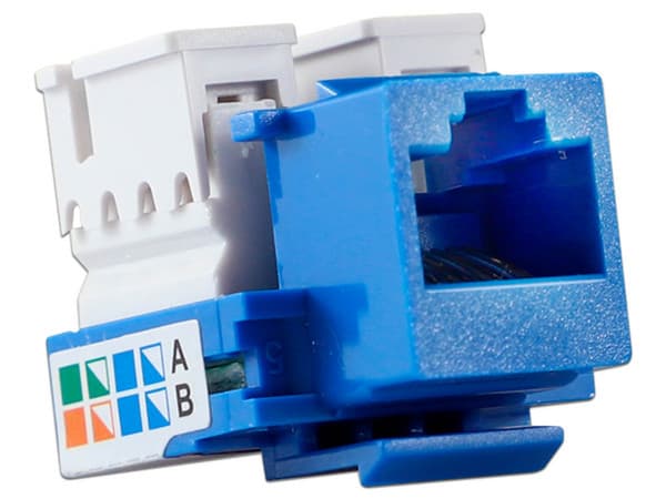 Conector Jack Enson ENS-JC5BL CAT5E a 90 Grados Ponchado con Pinzas y Cubrepolvo. Color Azul.