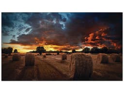 Monitor Profesional LED Samsung VM55BU de 55" para Video Wall, Resolución 1920 x 1080 (Full HD 1080p), VESA 600 x 400. - imagen 1