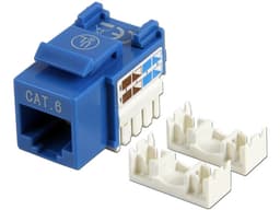 Intellinet Jack categoría 6, UTP, azul, de impacto                       - imagen 2